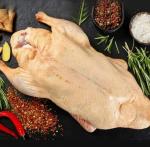 Гусь ( заморозка)